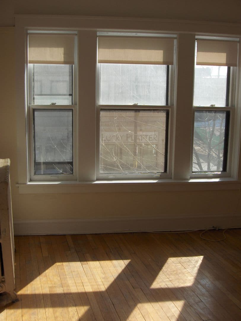 Evanston Apartment: 513 Main Street #3
