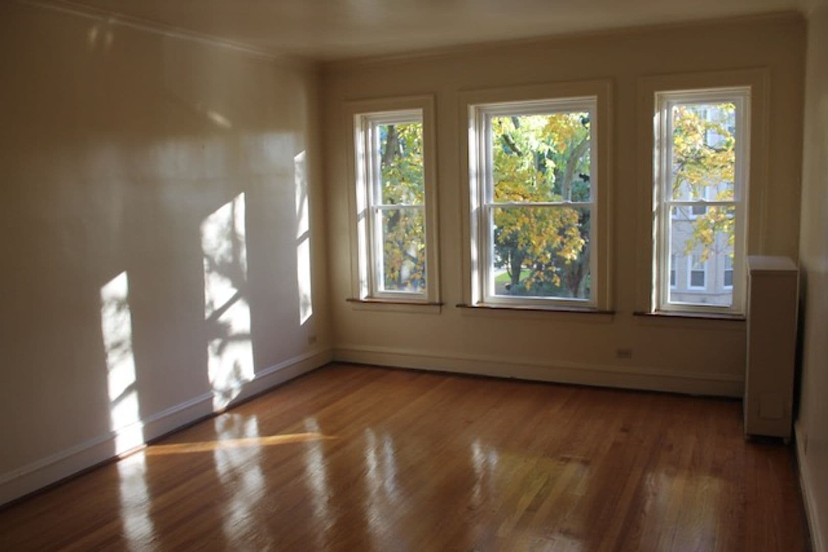 Evanston Apartment: 126-32 Custer Ave.