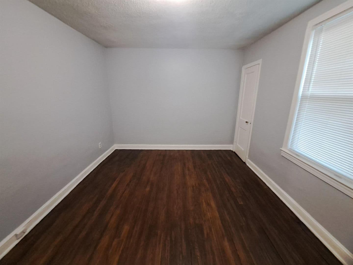 Washington Apartment: 3516 ELY PL SE