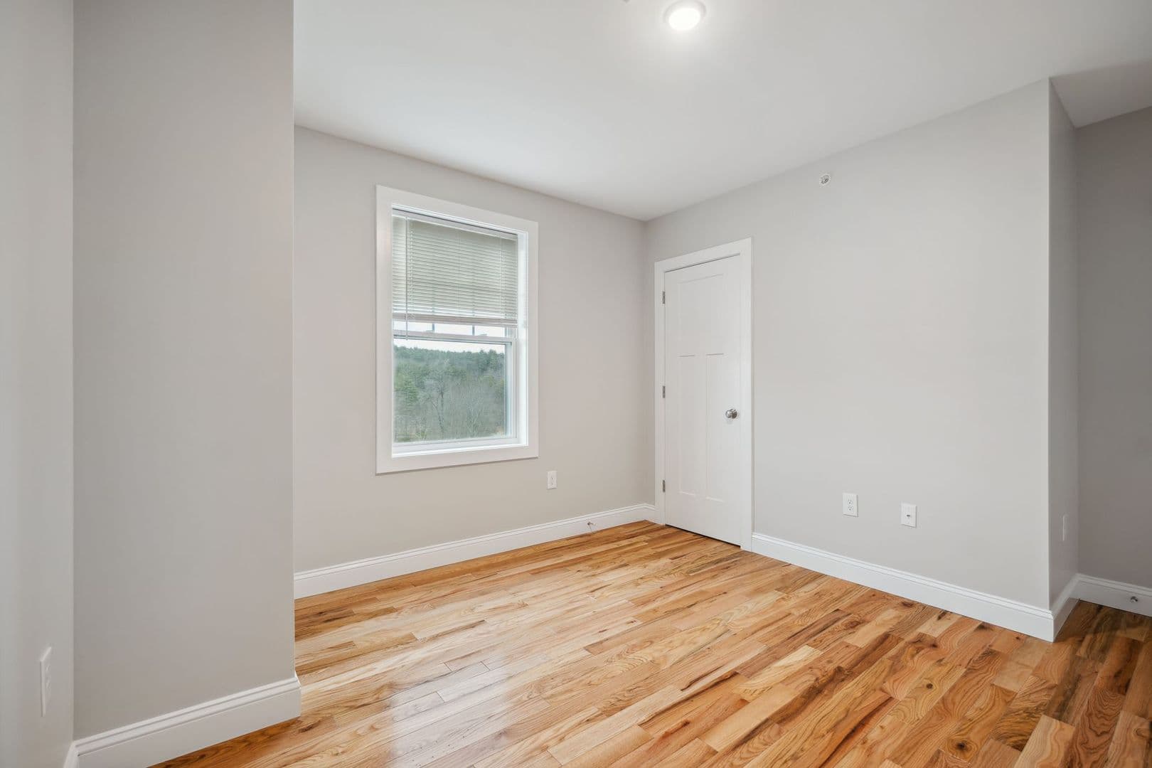 Rochester Townhome: 1-49 Wildcat Dr