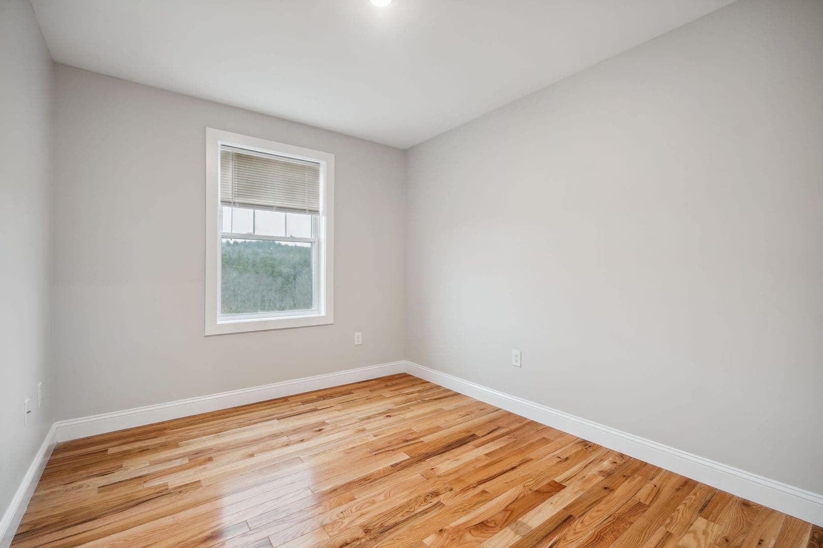 Rochester Townhome: 1-49 Wildcat Dr