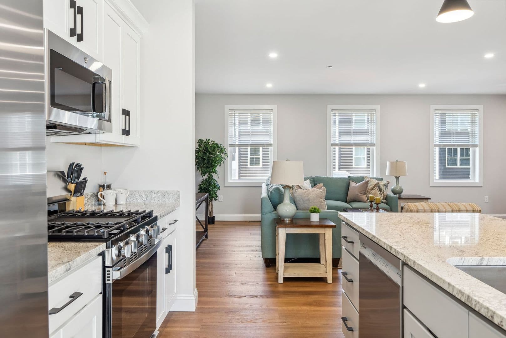 Rochester Townhome: 32 Emerson Ave