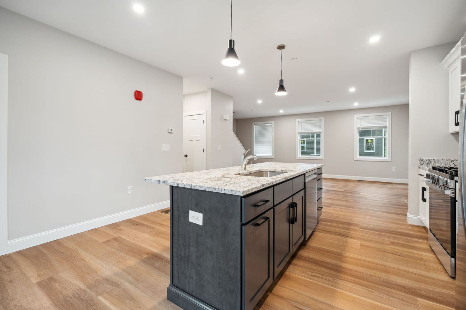 Rochester Townhome: 32 Emerson Ave