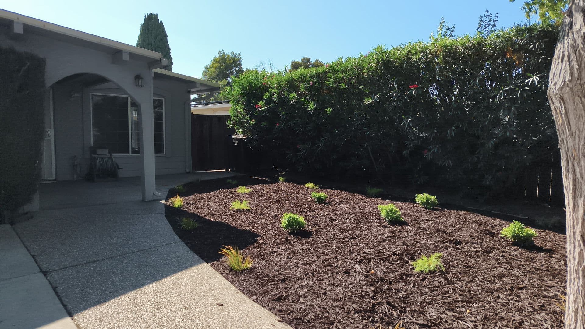 Milpitas House: 295 Roswell Dr