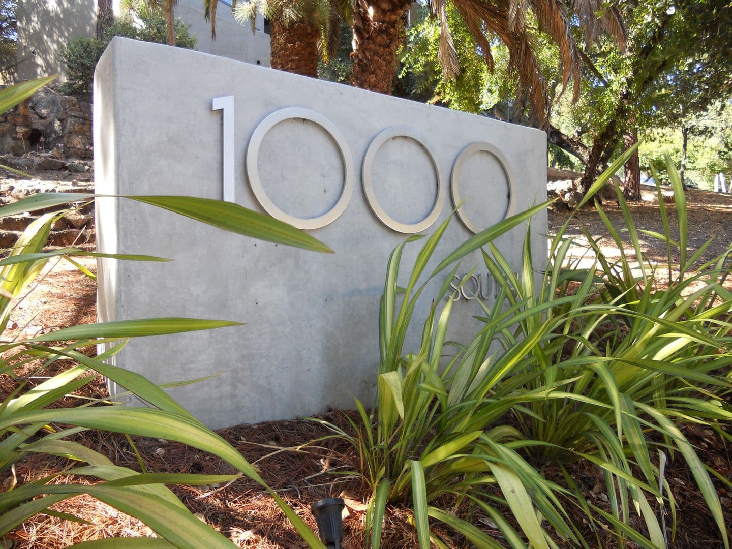 Belmont Apartment: 1000 South Rd