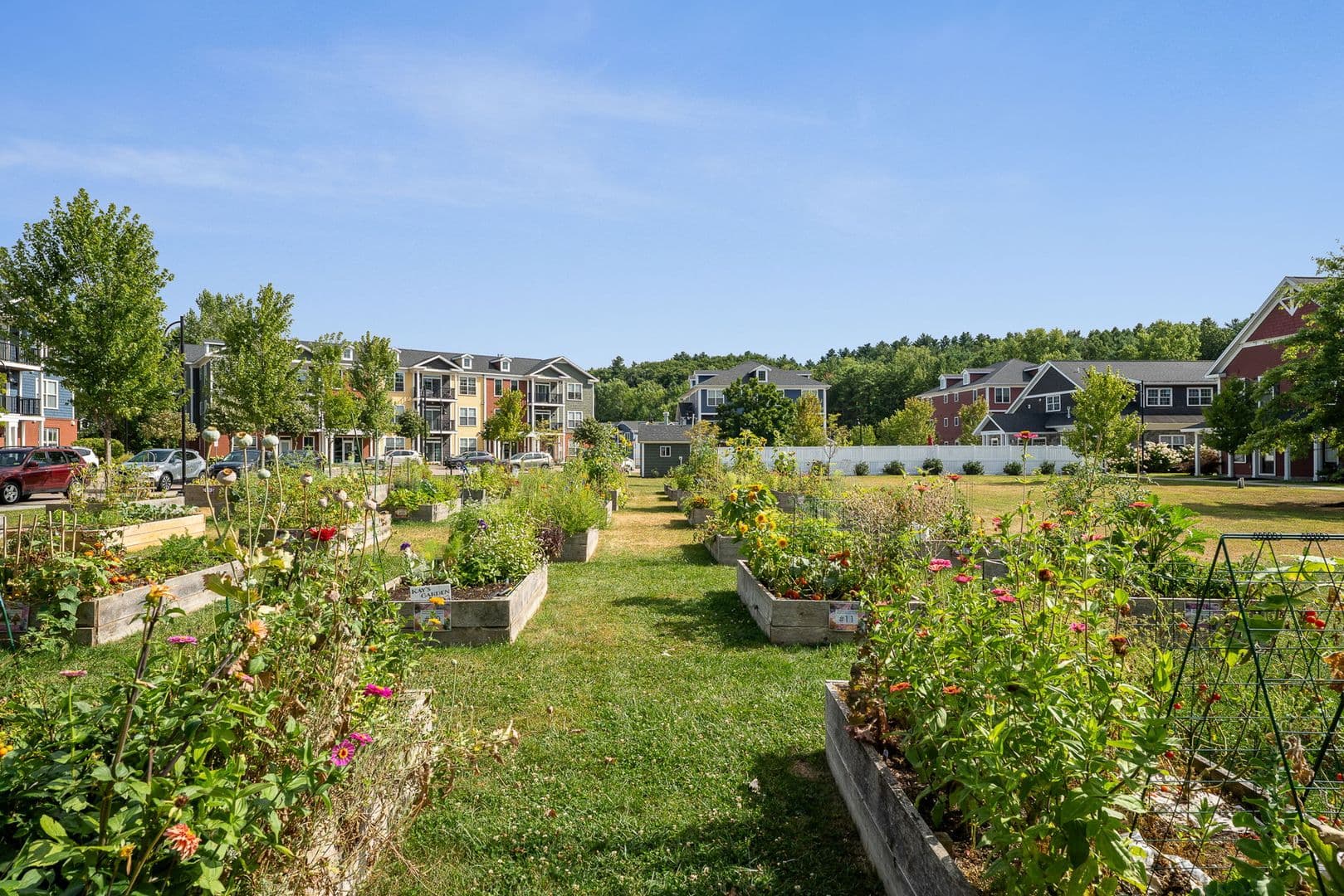 Burlington Apartment: 228 Bayberry Circle