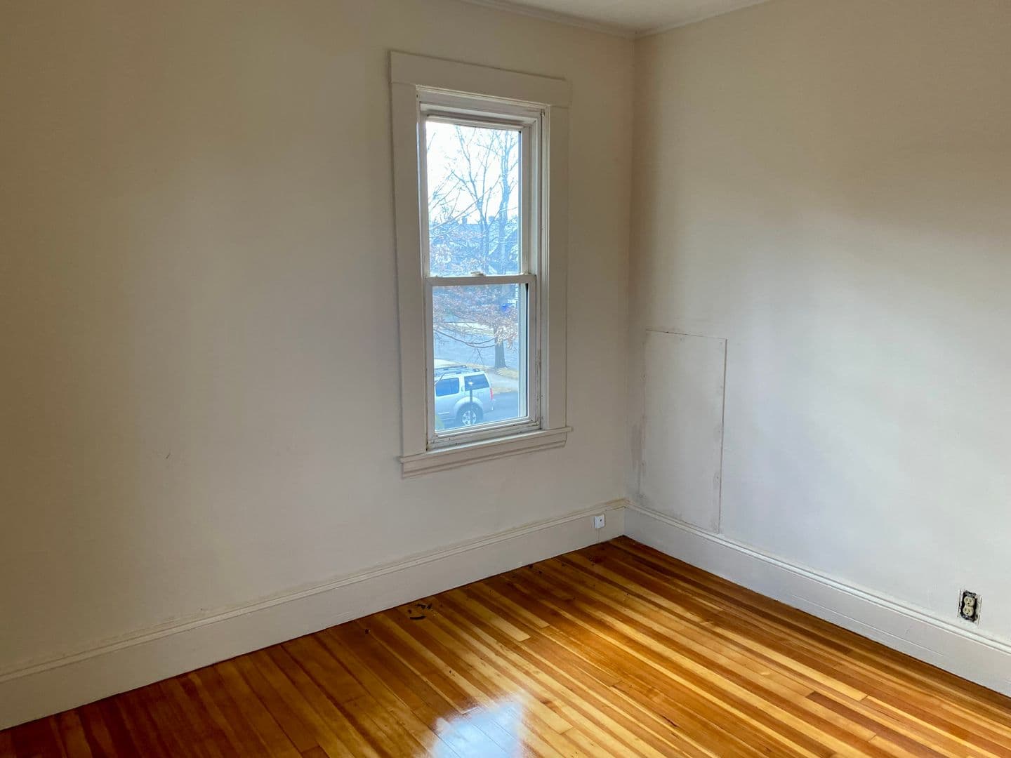 Springfield Apartment: 311-313 Fountain Street