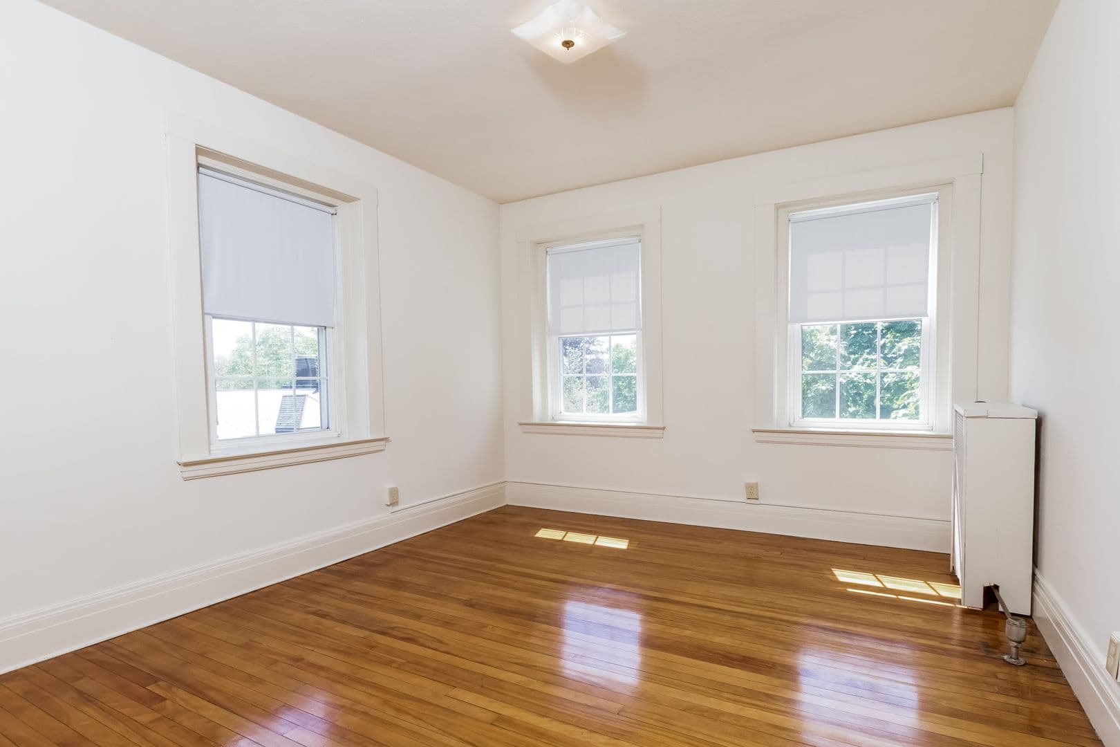 Springfield Apartment: 127-133 Sumner Avenue