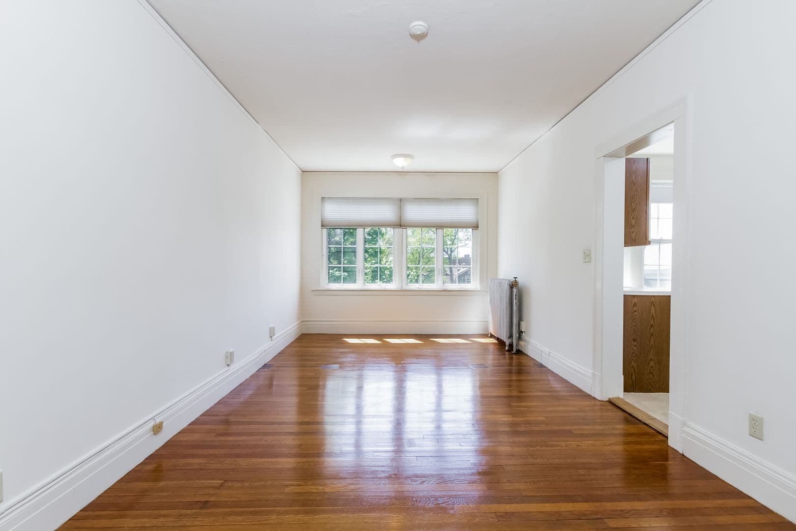 Springfield Apartment: 127-133 Sumner Avenue