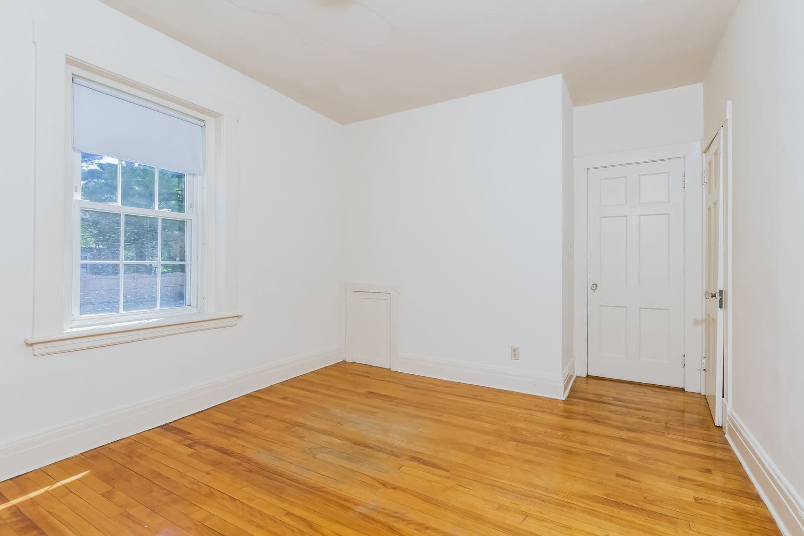 Springfield Apartment: 127-133 Sumner Avenue