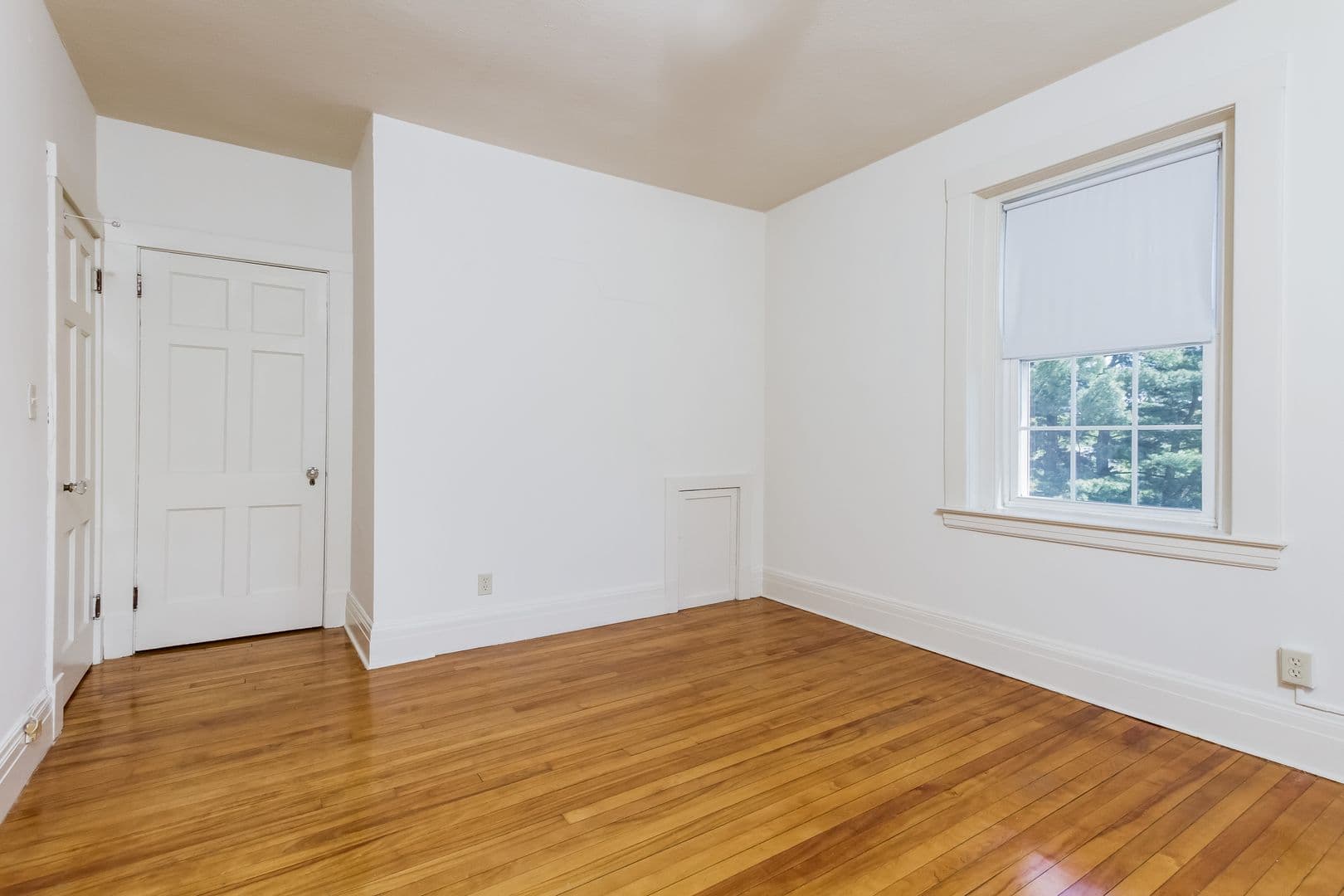 Springfield Apartment: 127-133 Sumner Avenue