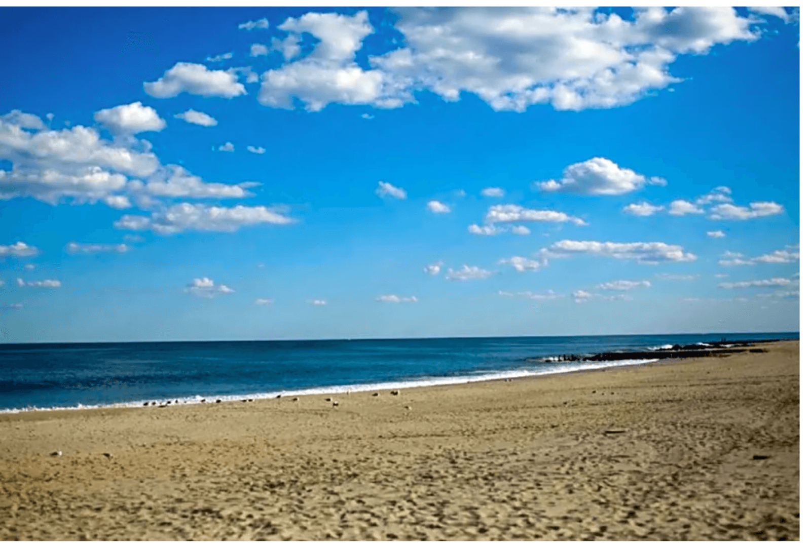 Long Branch Apartment: 175 Long Branch Avenue