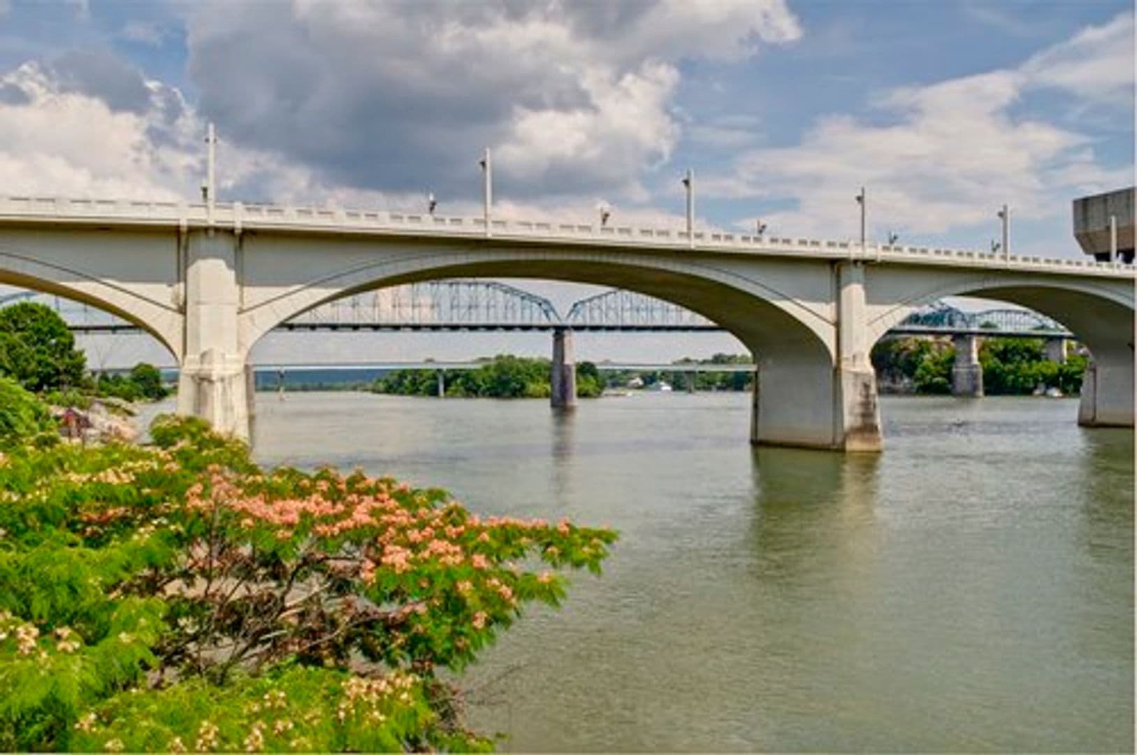 Chattanooga Apartment: 20 Cherokee Blvd