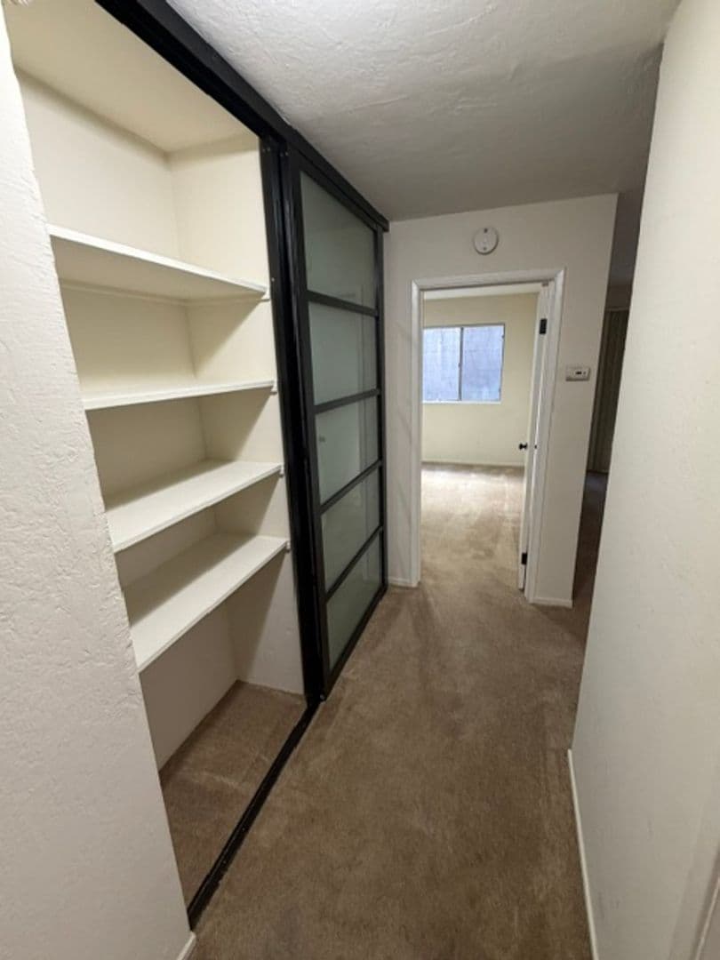 Oakland Apartment: 407 Fairmount Ave