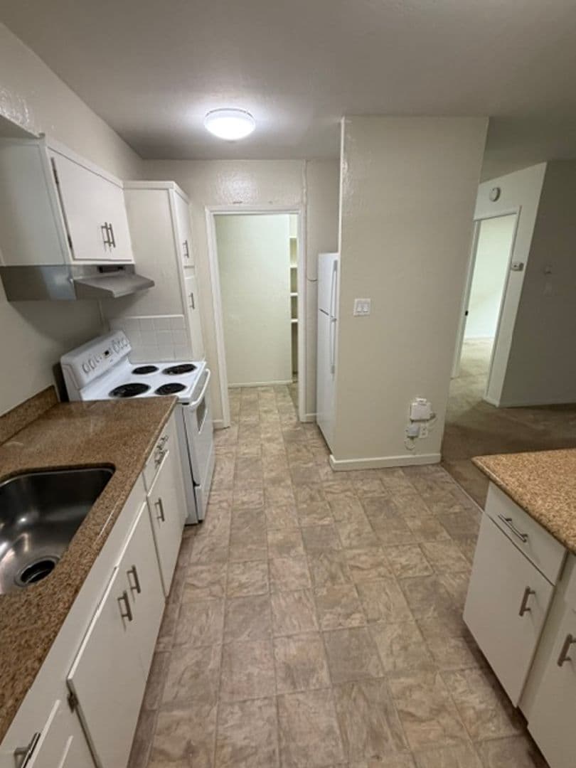 Oakland Apartment: 407 Fairmount Ave