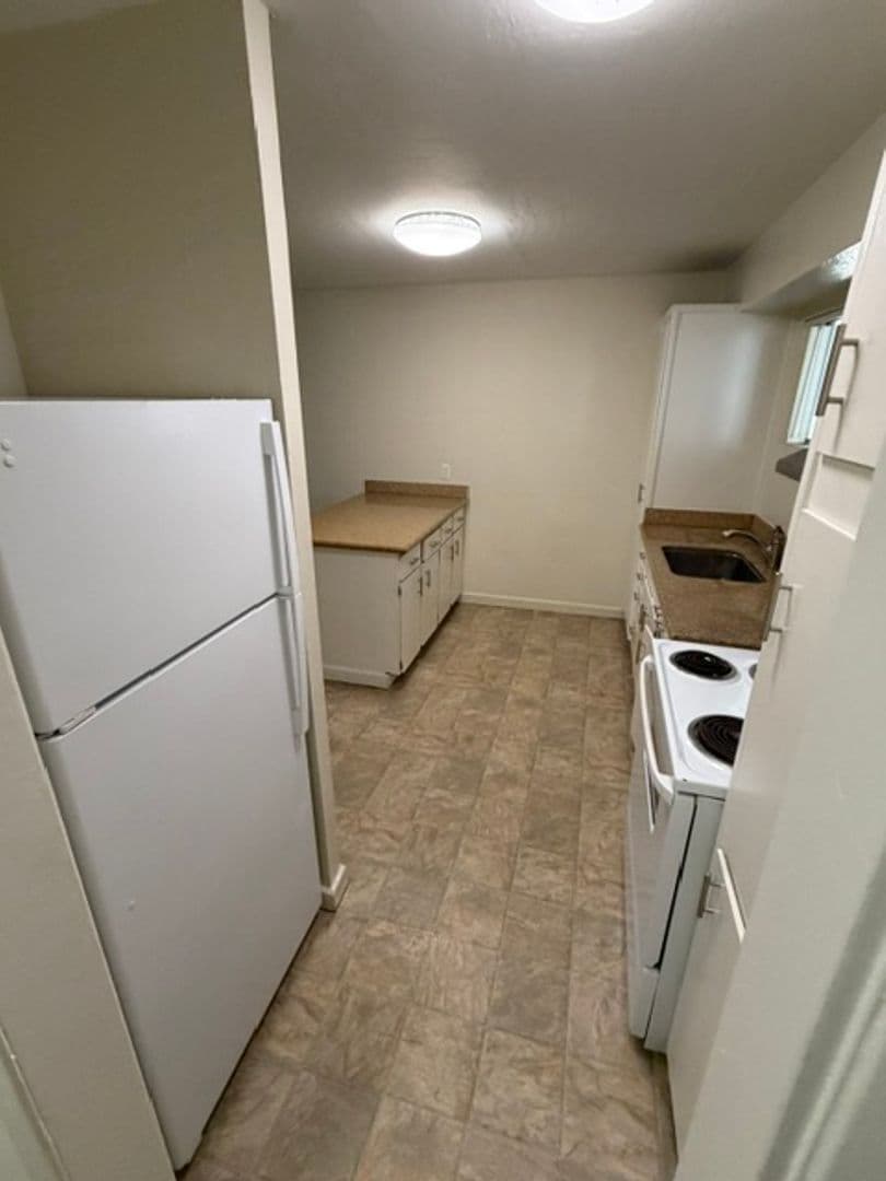 Oakland Apartment: 407 Fairmount Ave