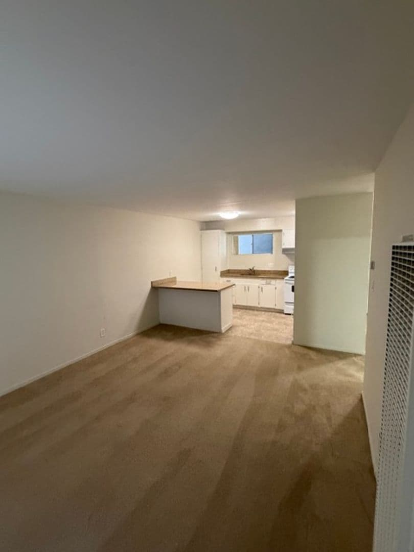 Oakland Apartment: 407 Fairmount Ave