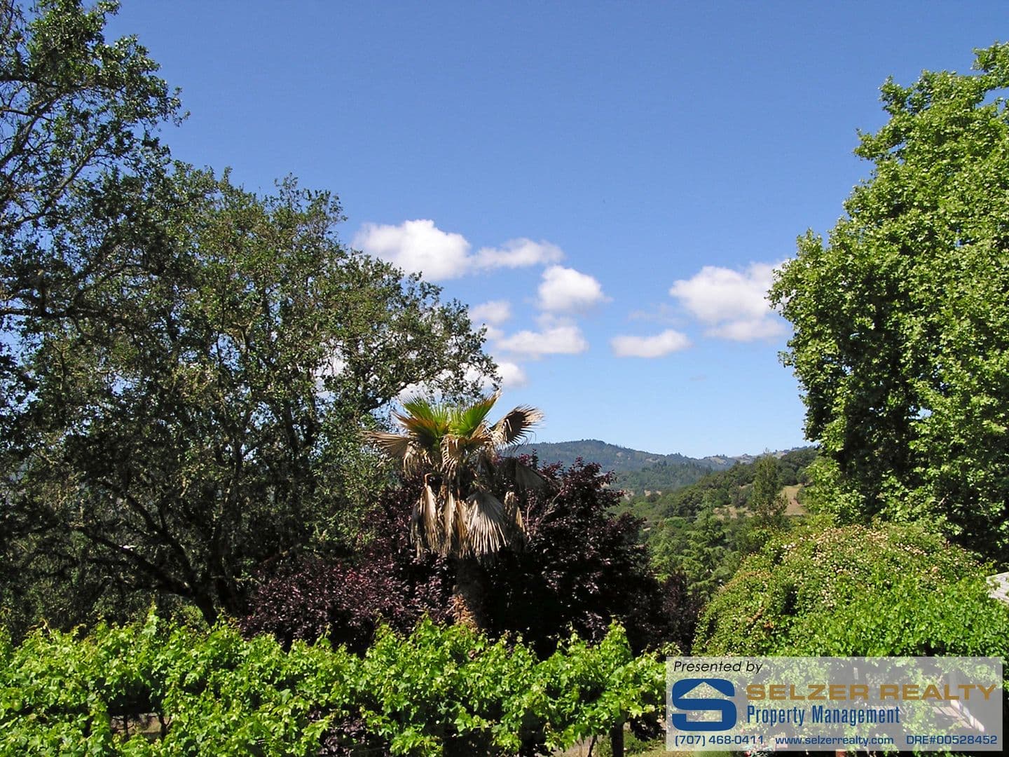 Ukiah Apartment: Eastside Calpella Rd.