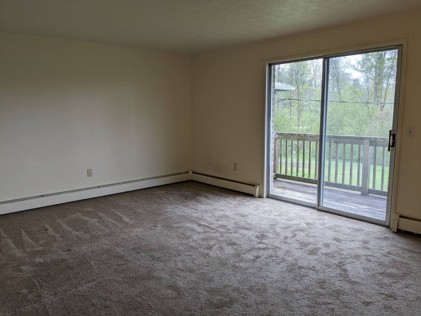Batavia Apartment: North Spruce Street