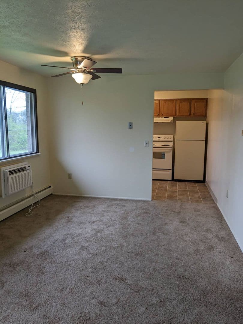 Batavia Apartment: North Spruce Street