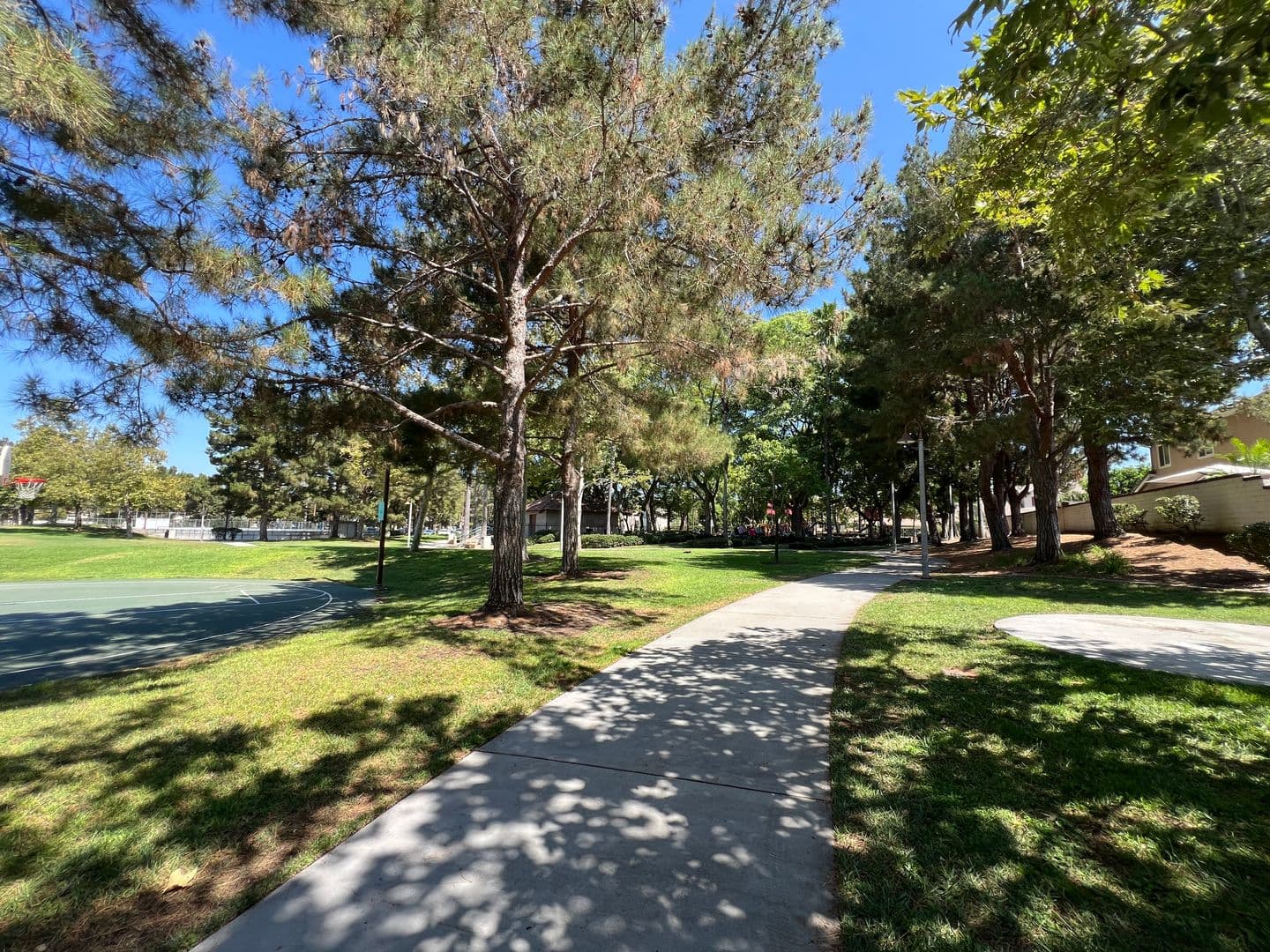 Tustin House: 2540 San Saba St.