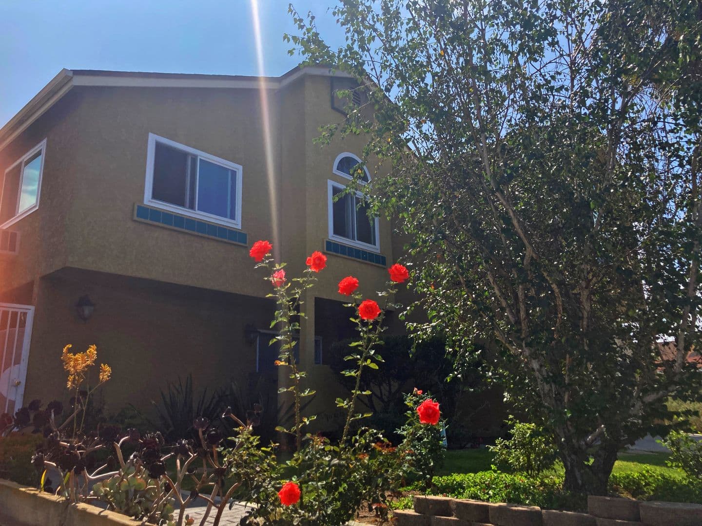 San Diego Condo: 4377 Wilson Avenue