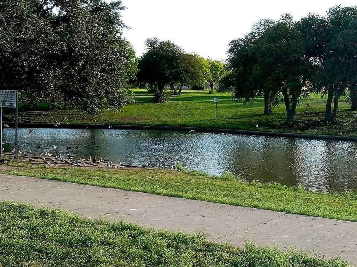 Corpus Christi Apartment: 9850 La Branch Dr