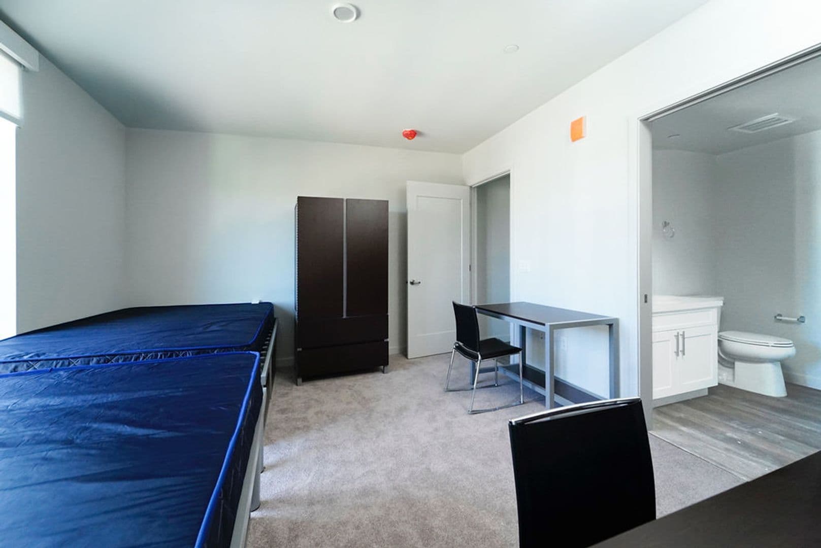 Berkeley Apartment: 2077 Haste St