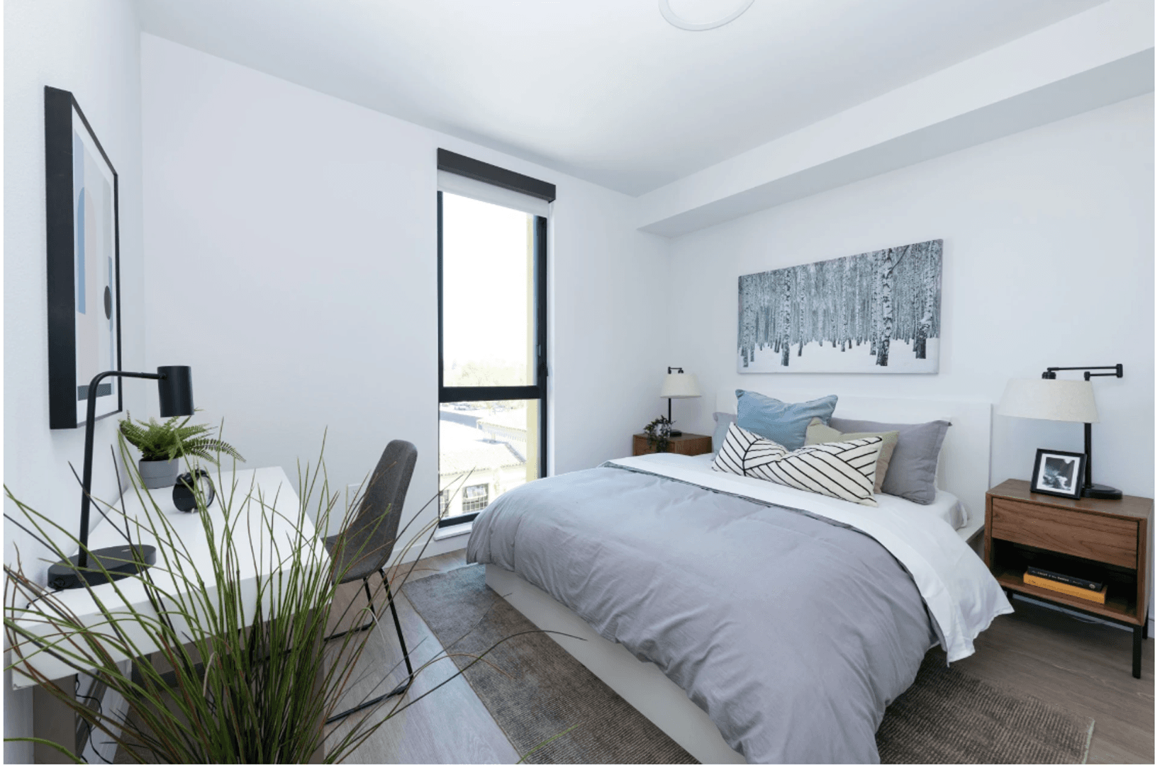 Berkeley Apartment: 2640 Shattuck Ave