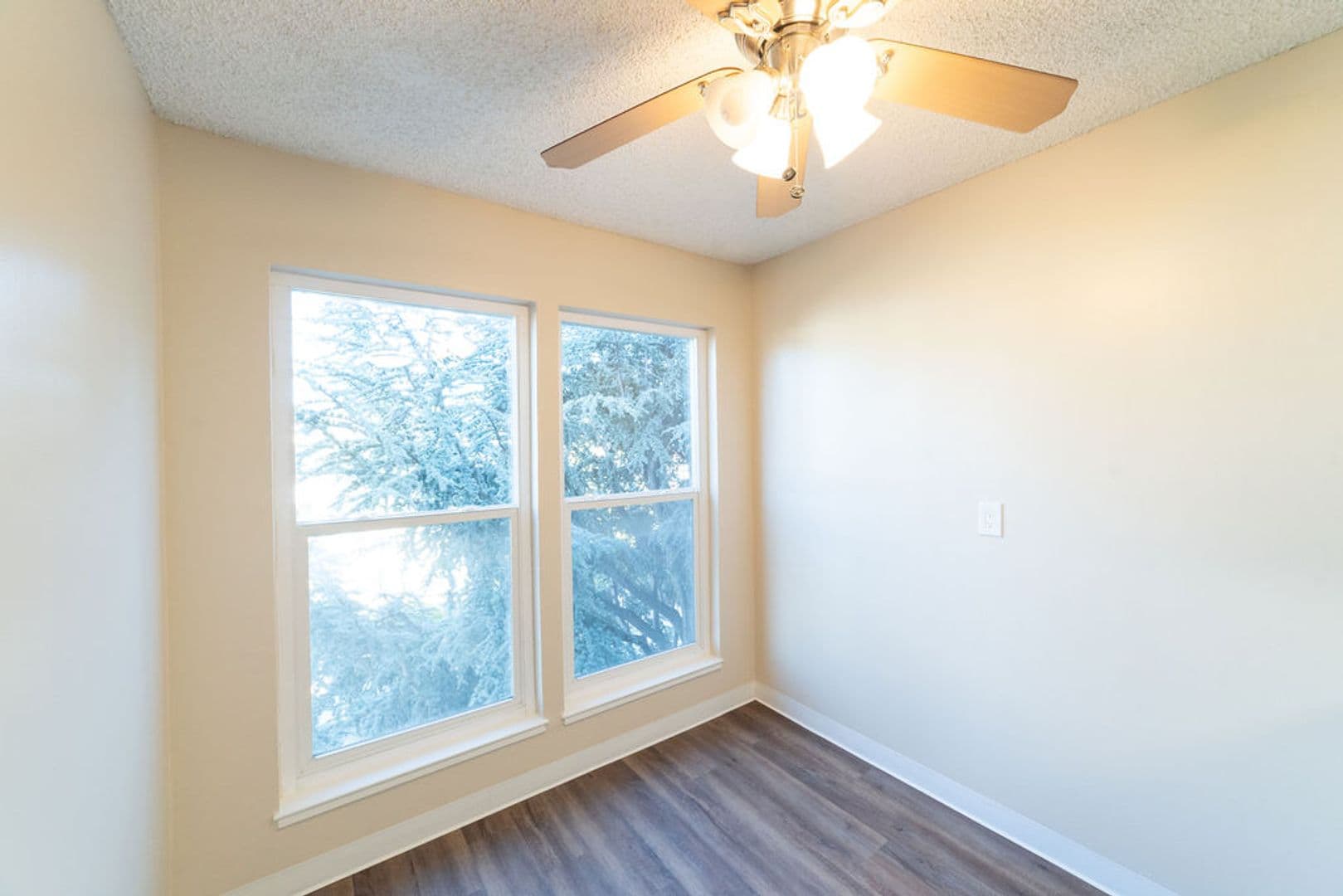 Oakland Apartment: 365 Euclid Ave.