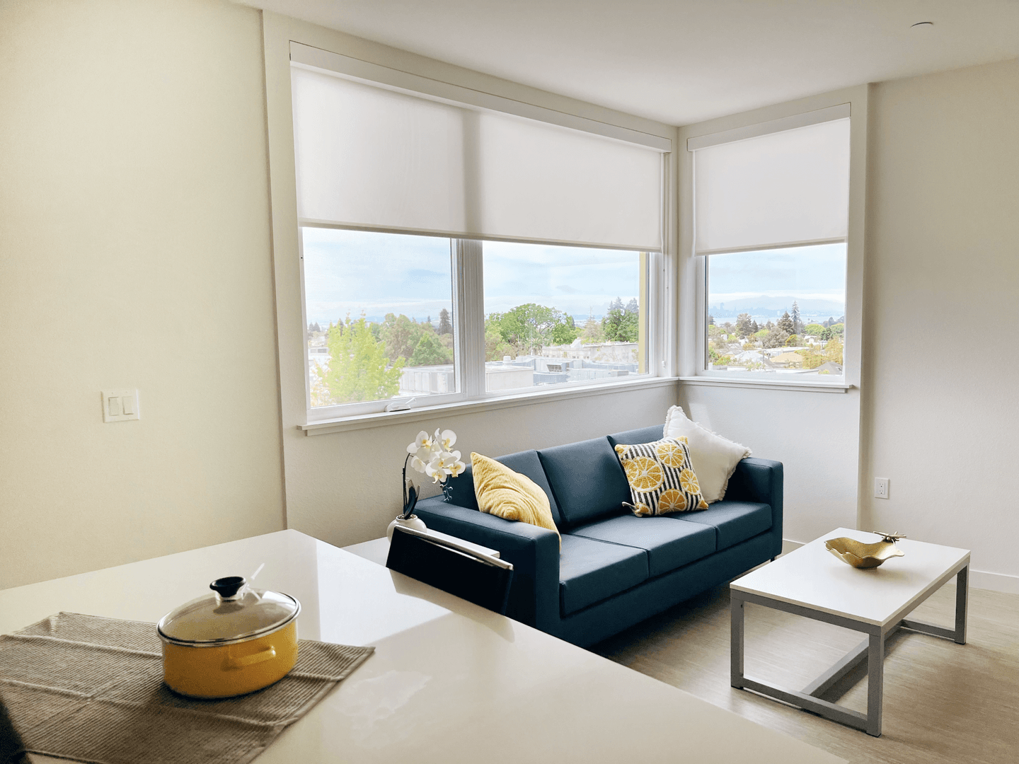 Berkeley Apartment: 2099 Martin Luther King Jr. Way