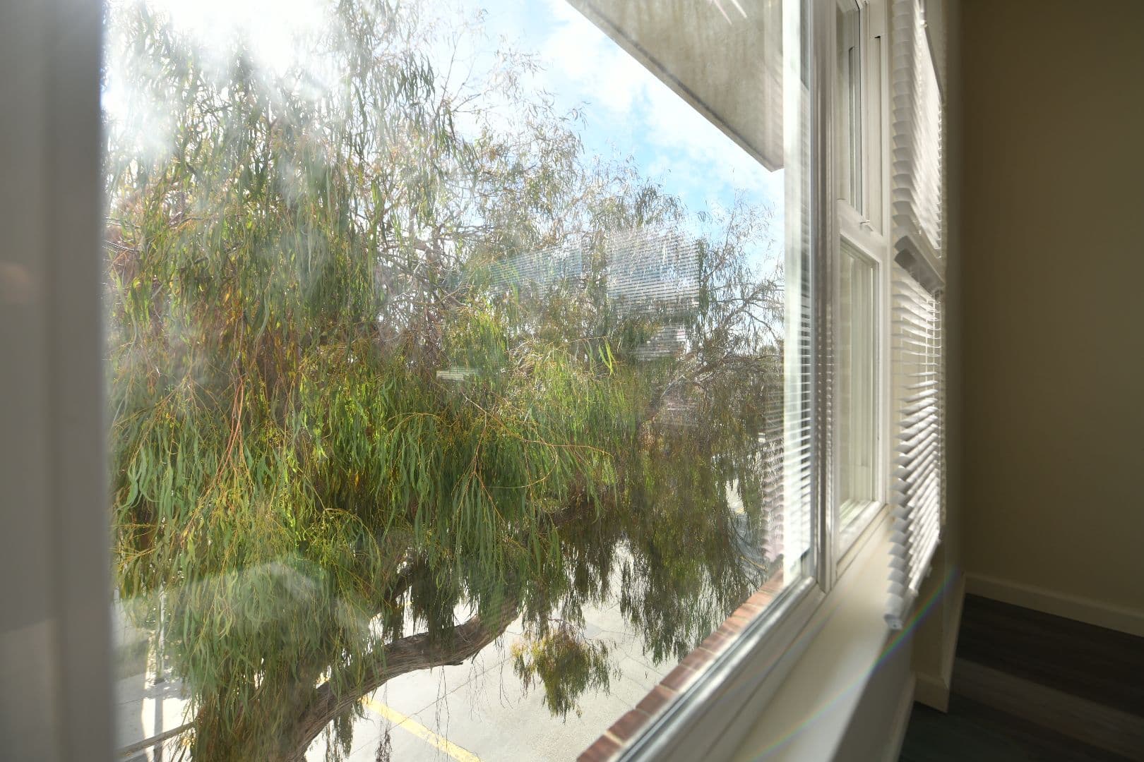 Albany Apartment: 935 Solano Avenue