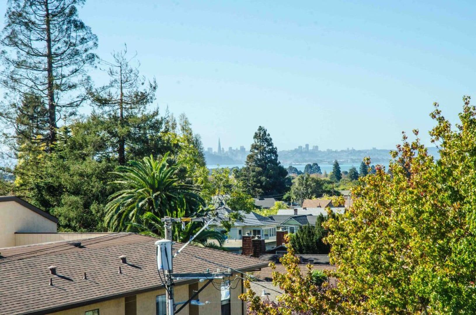 Berkeley Apartment: 1901 Dwight Way