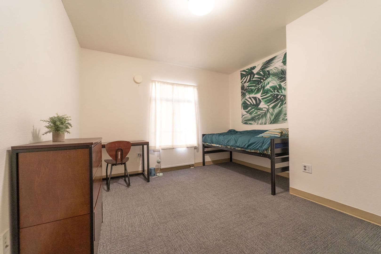 Berkeley Apartment: 2398 Bancroft Way