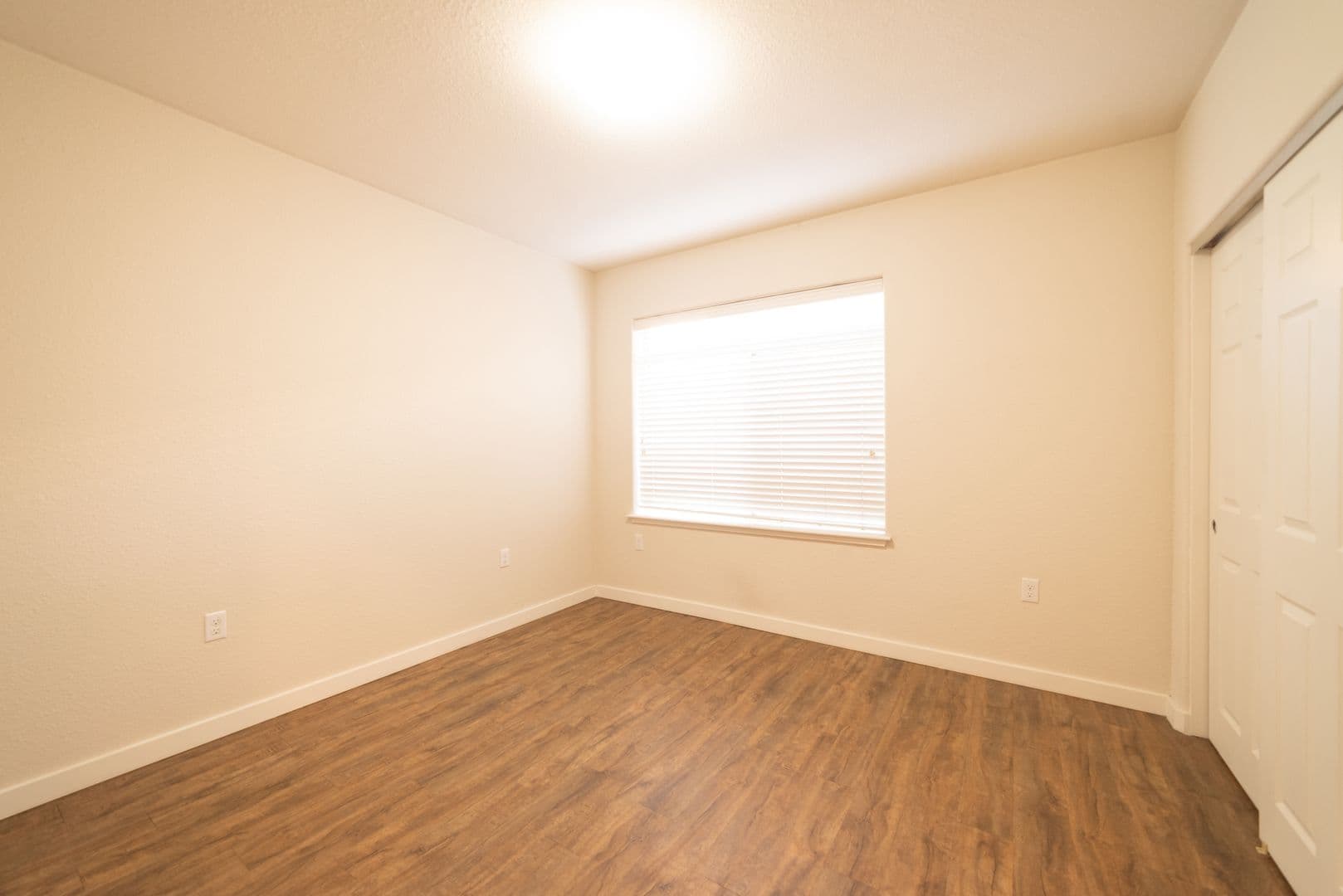 Berkeley Apartment: 1901 Dwight Way