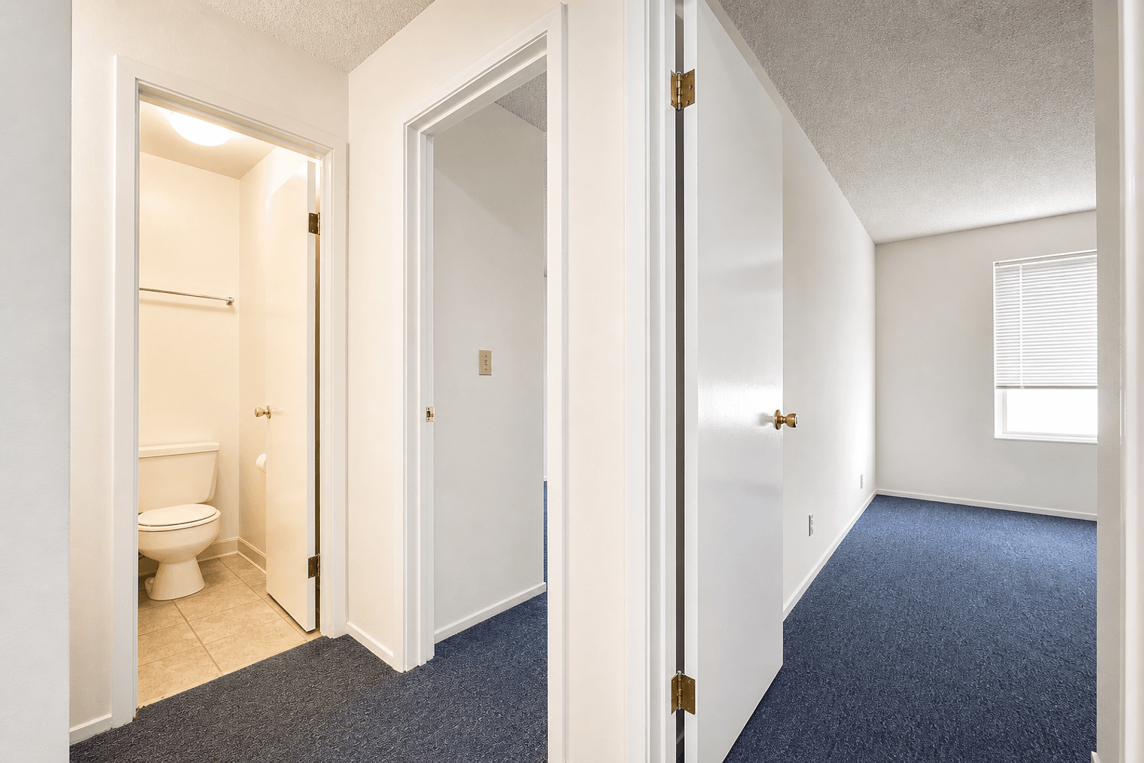 Berkeley Apartment: 2540 College Ave
