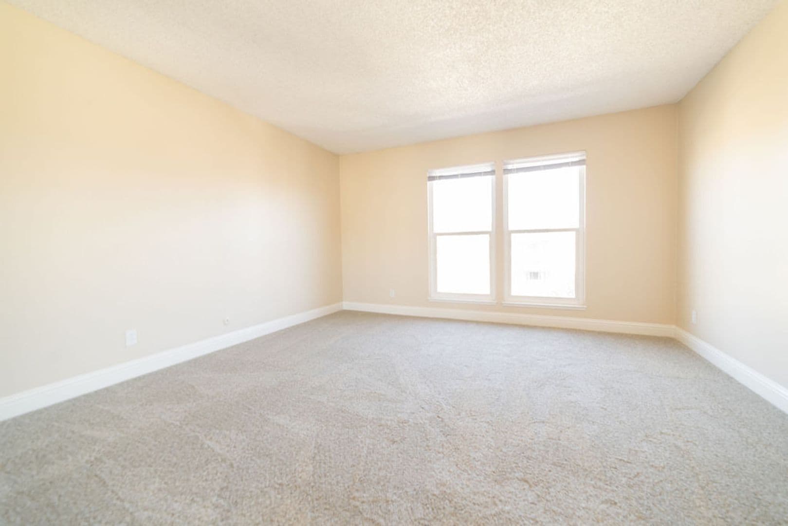 Oakland Apartment: 365 Euclid Ave.