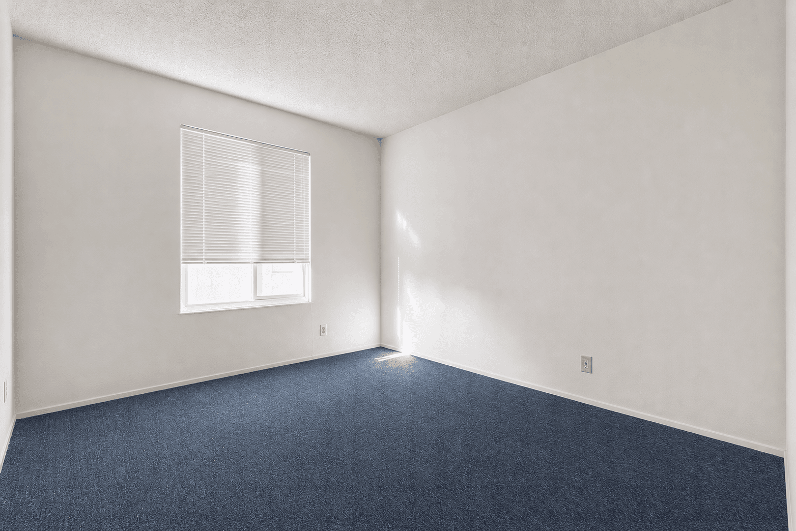 Berkeley Apartment: 2540 College Ave