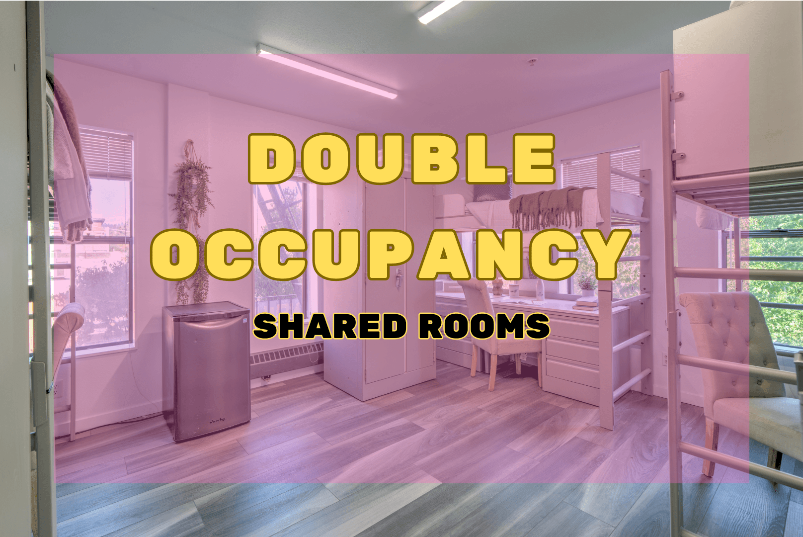 Berkeley Apartment: 2490 Channing Way