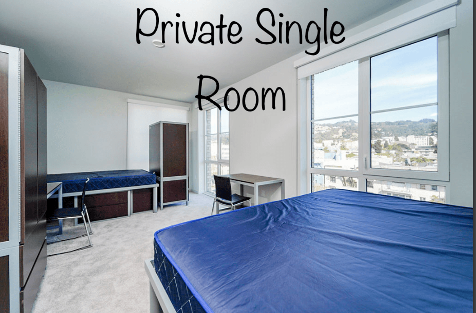 Berkeley Apartment: 2077 Haste St