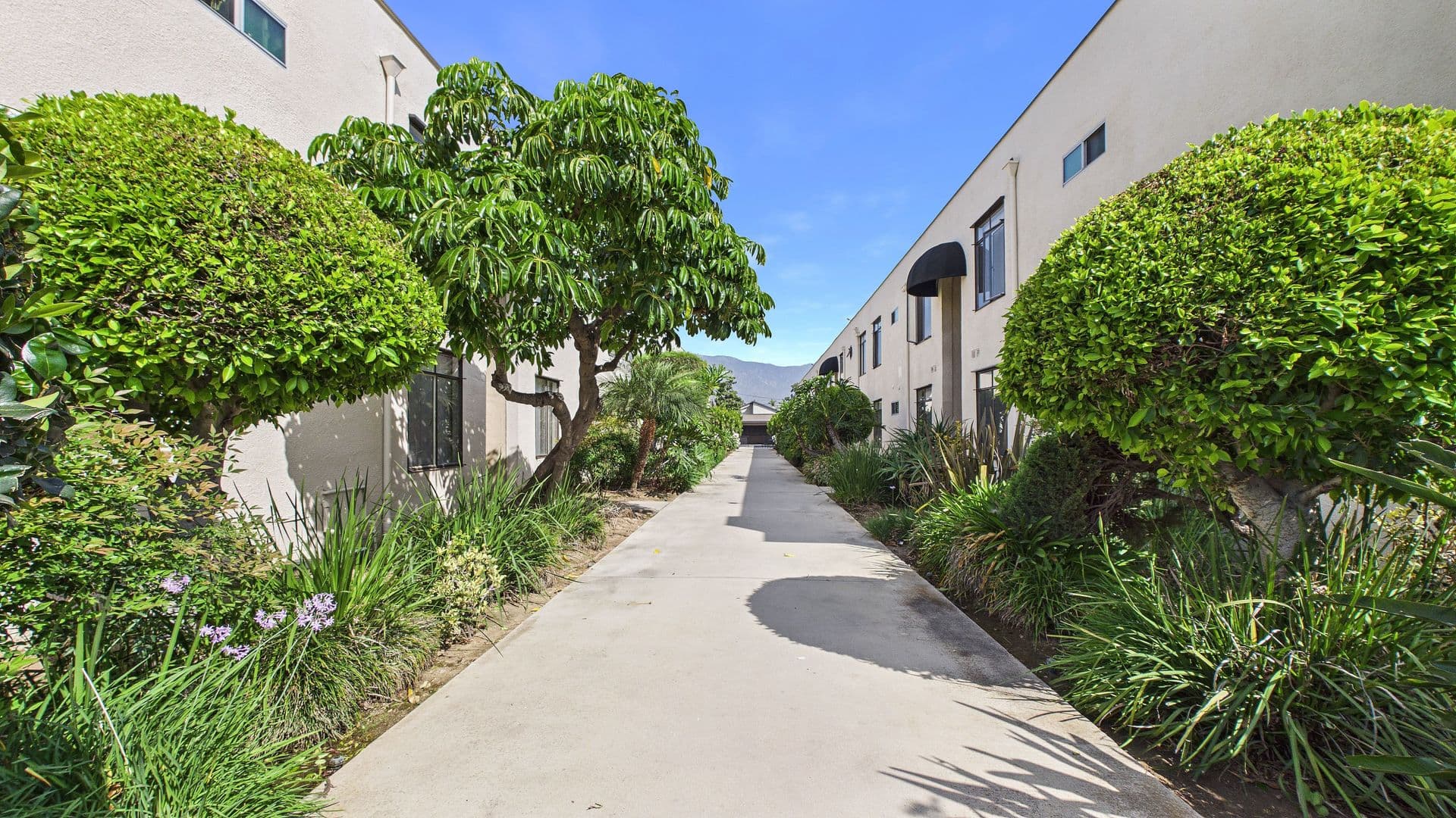 Arcadia Apartment: 427 - 433 W Duarte Rd