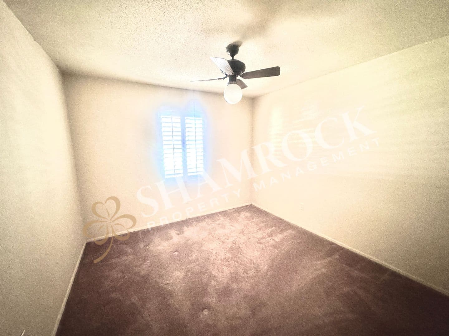 Waco House: 2223 Carolinda Dr