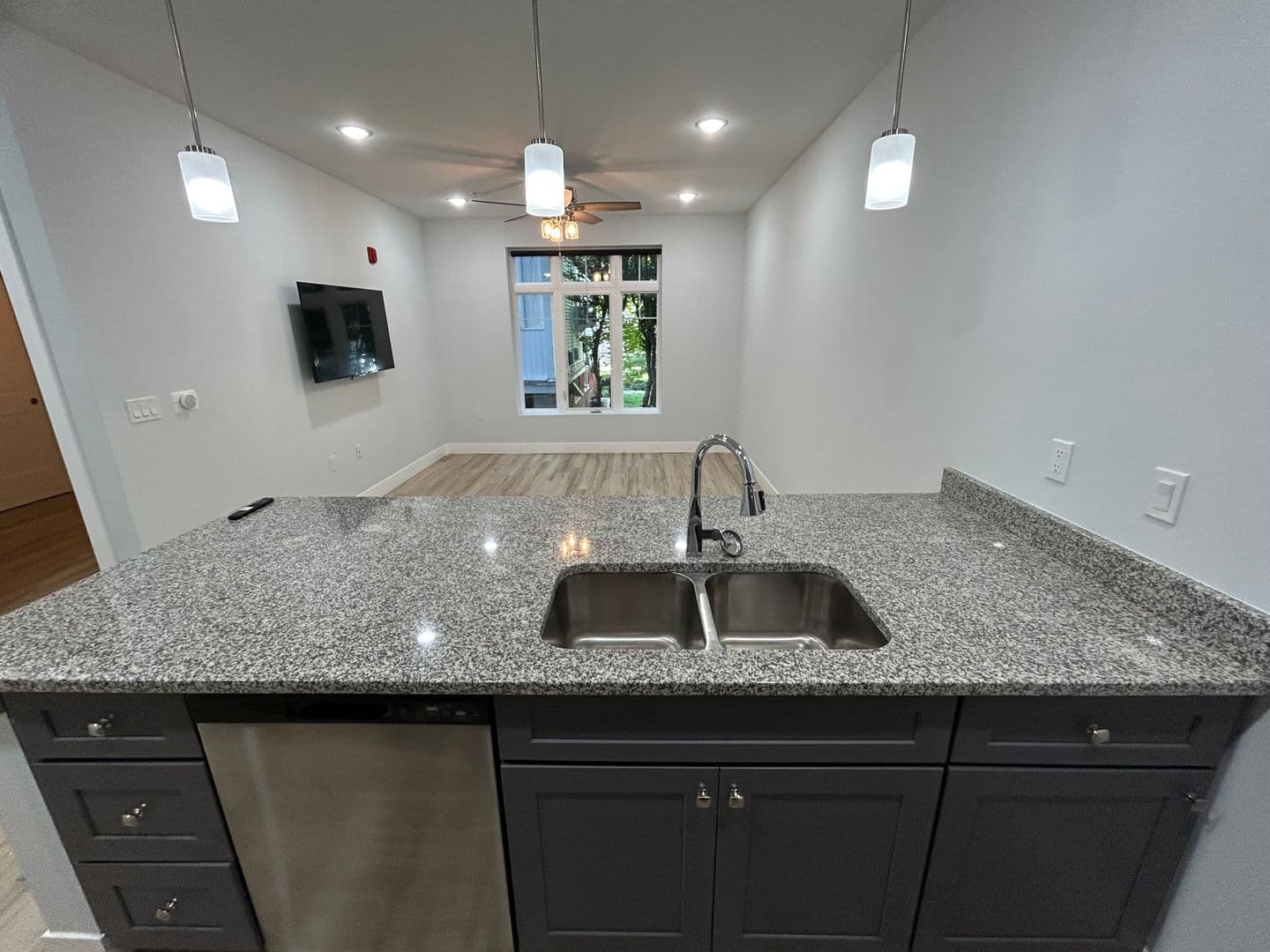 Champaign Apartment: 214 E Clark Street