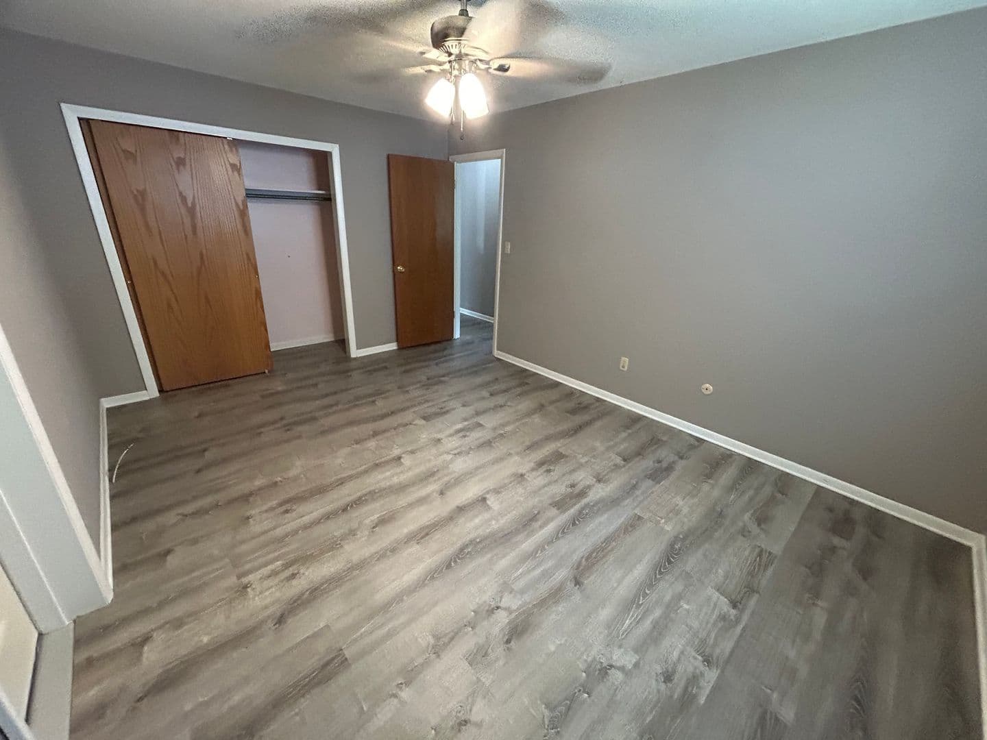 Urbana Apartment: 704 E Colorado