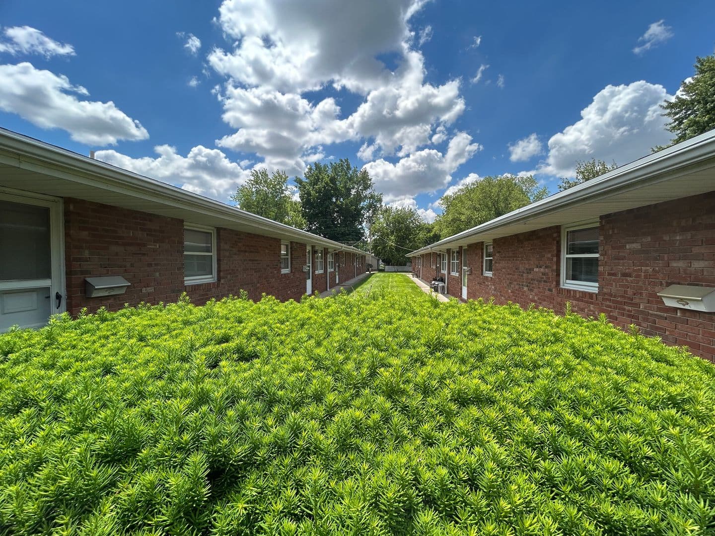 Tuscola Apartment: 207 E Newkirk