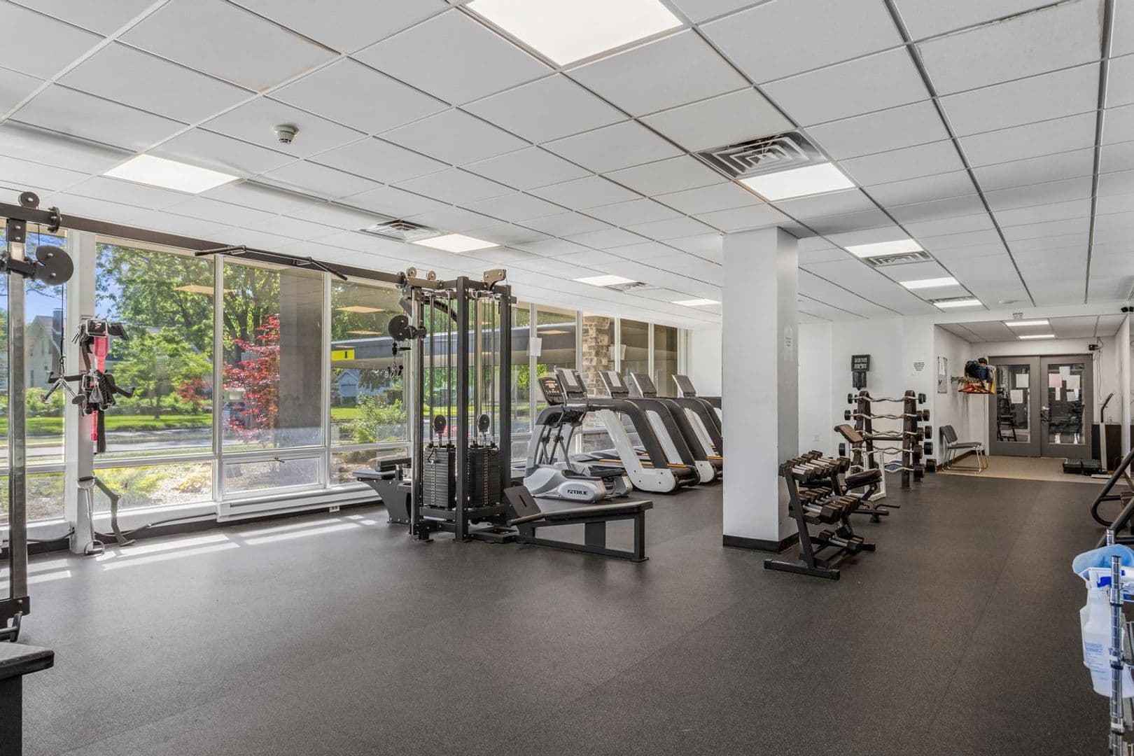 Tuscola Apartment: 703 N Park/704 N Main