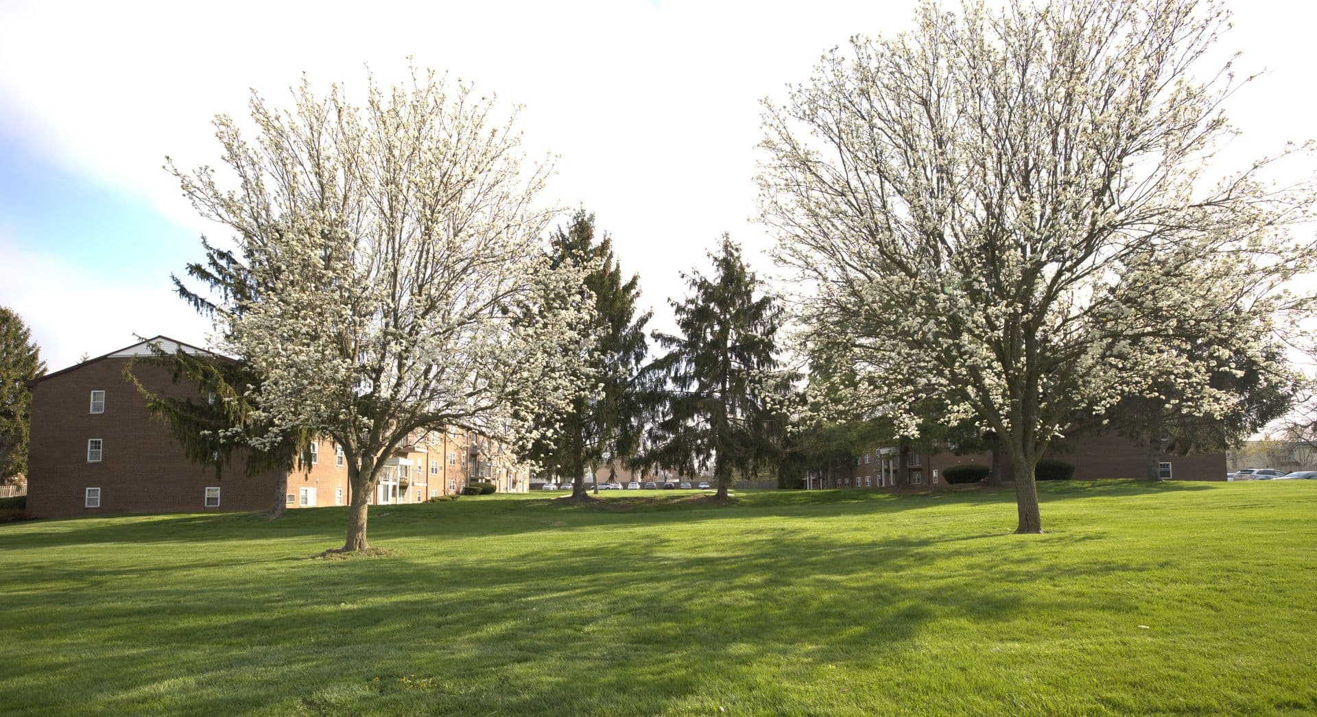 Hatfield Apartment: 2603 Elroy Road