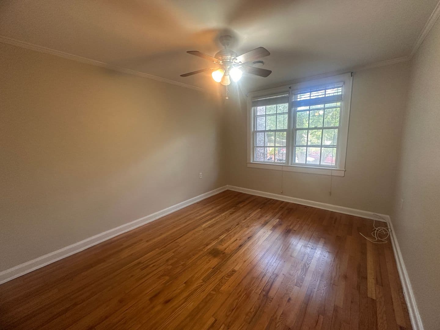 Wilmington Apartment: 2940 Oleander Court