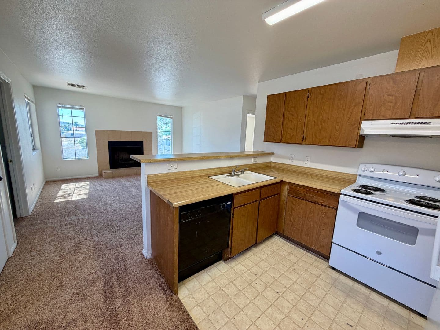 Las Vegas Condo: 2704 Aarondavid Drive Units C