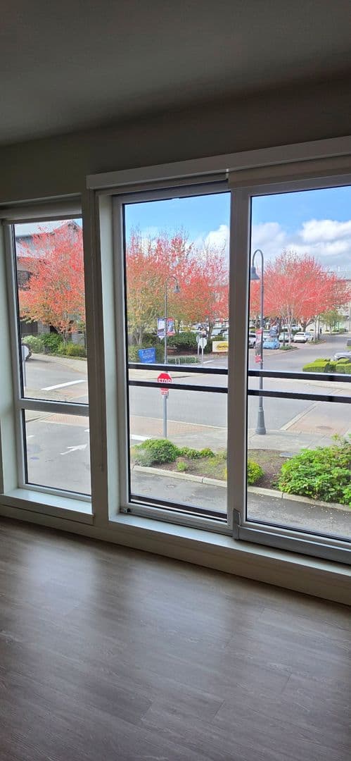 Bellingham Apartment: 20 Bellwether Way